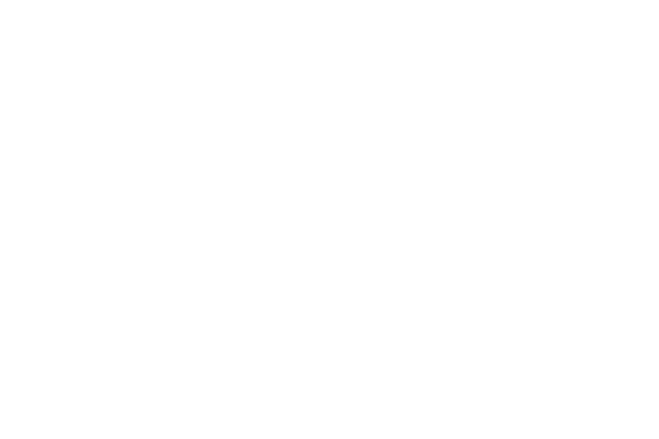 lensing garage doors logo in solid white
