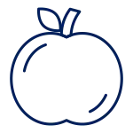line art of apple